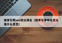 搜索引擎seo优化排名（搜索引擎排名优化是什么意思）