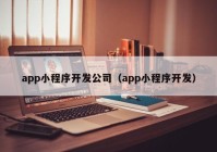 app小程序开发公司（app小程序开发）