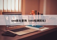 seo优化查询（seo检测优化）