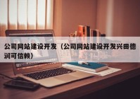 公司网站建设开发（公司网站建设开发兴田德润可信赖）