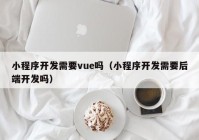 小程序开发需要vue吗（小程序开发需要后端开发吗）