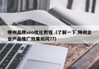 柳州品牌seo优化教程（了解一下,柳州企业产品推广效果如何??）