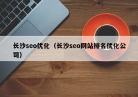 长沙seo优化（长沙seo网站排名优化公司）