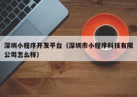 深圳小程序开发平台（深圳市小程序科技有限公司怎么样）