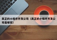 真正的小程序开发公司（真正的小程序开发公司是哪家）