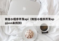 微信小程序开发api（微信小程序开发appjson未找到）