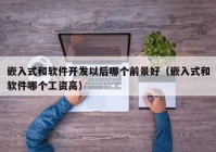 嵌入式和软件开发以后哪个前景好（嵌入式和软件哪个工资高）