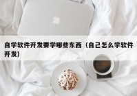 自学软件开发要学哪些东西（自己怎么学软件开发）