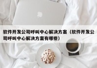 软件开发公司呼叫中心解决方案（软件开发公司呼叫中心解决方案有哪些）