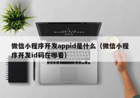 微信小程序开发appid是什么（微信小程序开发id码在哪看）