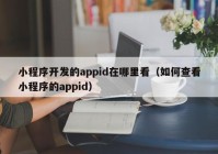 小程序开发的appid在哪里看（如何查看小程序的appid）