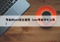 专业的seo优化推荐（seo专业优化公司）