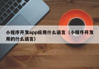 小程序开发app应用什么语言（小程序开发用的什么语言）