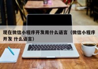 现在微信小程序开发用什么语言（微信小程序开发 什么语言）