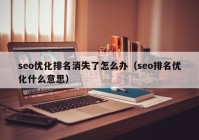 seo优化排名消失了怎么办（seo排名优化什么意思）