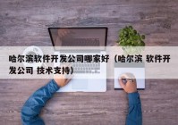 哈尔滨软件开发公司哪家好（哈尔滨 软件开发公司 技术支持）